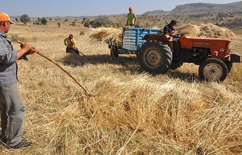 CEYLAN “ÇİFTÇİ ÜRETEMEZ HALE GELDİ”