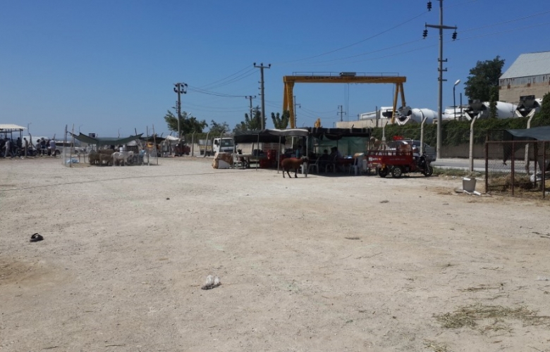 KURBAN'DA YOK, KURBAN KESEN' DE 