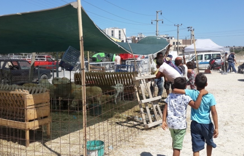 KURBAN'DA YOK, KURBAN KESEN' DE 