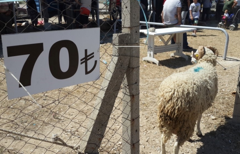 KURBAN'DA YOK, KURBAN KESEN' DE 