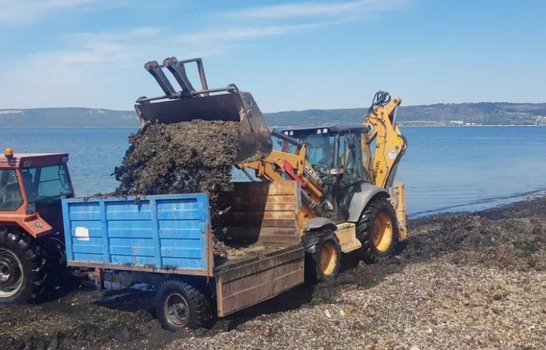 ÇANAKKALE BELEDİYESİ SAHİL TEMİZLİK ÇALIŞMALARINA DEVAM EDİYOR