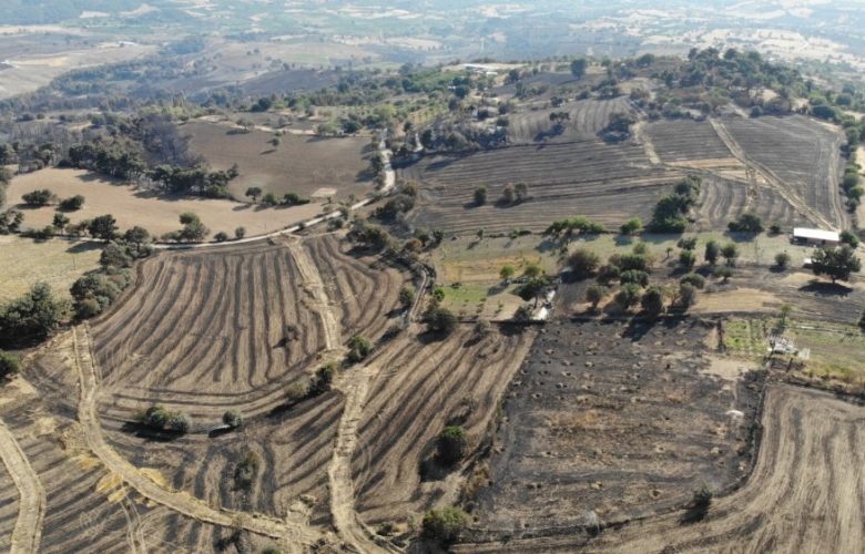 ÇANAKKALE'DEKİ ORMAN YANGINI KONTROL ALTINA ALINDI