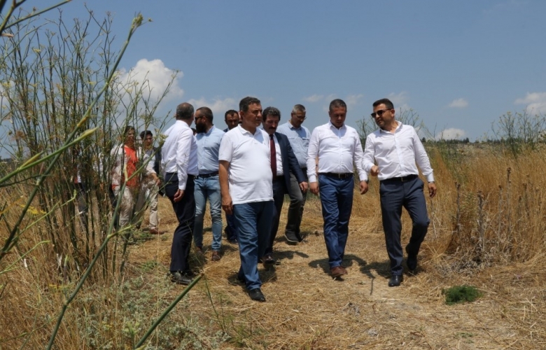 VALİ TAVLI VE BERABERİNDEKİLER KİLİSETEPE HÖYÜĞÜNDEKİ ÇALIŞMALARI İNCELEDİ