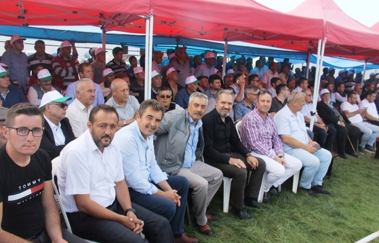 YENİCE’ DE YAĞLI GÜREŞ HEYECANI