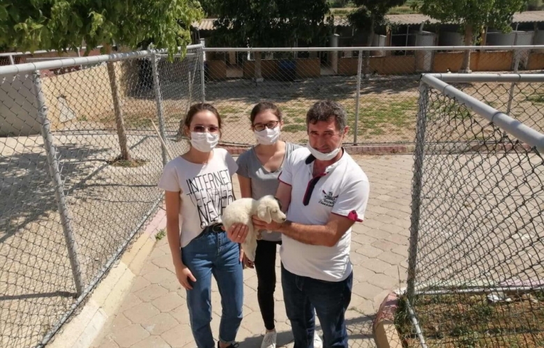 CAN DOSTLARA YÖNELİK ÇALIŞMALAR HIZ KESMEDEN DEVAM EDİYOR