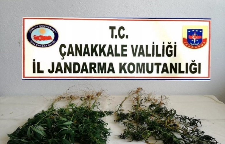 ÇANAKKALE’ DE UYUŞTURUCU MADDE İMAL VETİCARETİNİ YAPAN BİR KİLİ GÖZALTINA ALINDI     