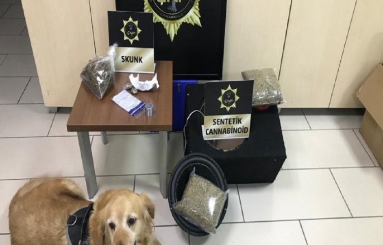 GELİBOLU' DA UYUŞTURUCU OPERASYONU