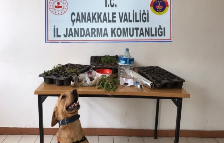 ROKET, UYUŞTURUCULARI BULDU