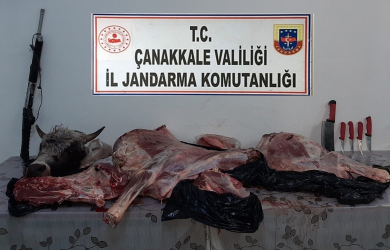 BÜYÜK VE KÜÇÜK BAŞ HAYVANLARI TÜFEK İLE VURARAK ÇALAN ŞAHISLAR YAKALANDI