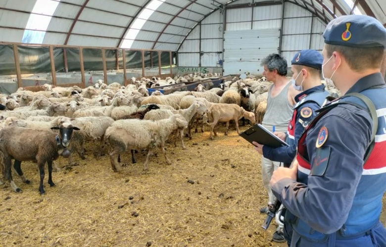 ÇANAKKALE İL JANDARMA HIRSIZLARA GEÇİT VERMİYOR