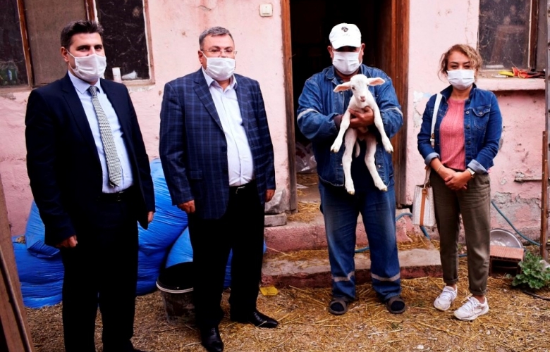 ENGELLİ ÇİFTÇİ HİBE DESTEĞİ İLE KOYUN ÜRETİMİNE BAŞLADI