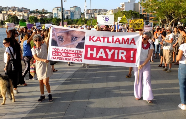 Çanakkale’de Hayvanseverlerden, Hükümetin Sokak Hayvanları Yasasına Sert Tepki