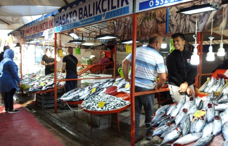 KASIMA KADAR PALAMUT 