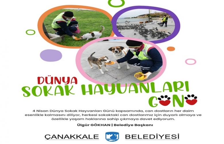 GÖKHAN’DAN “SOKAK HAYVANLARI GÜNÜ” MESAJI