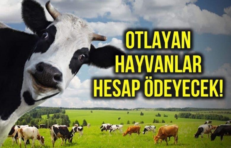 SAVRAN “ÇANAKKALE’ DEKİ MERALARDAN VERGİ ALINMASI GİBİ BİR DURUM YOK”