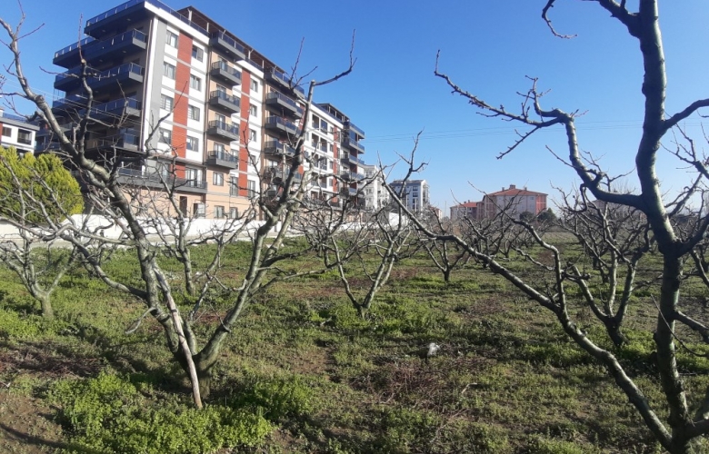 PERİNCEK: “UYARIYORUM” DEDİ