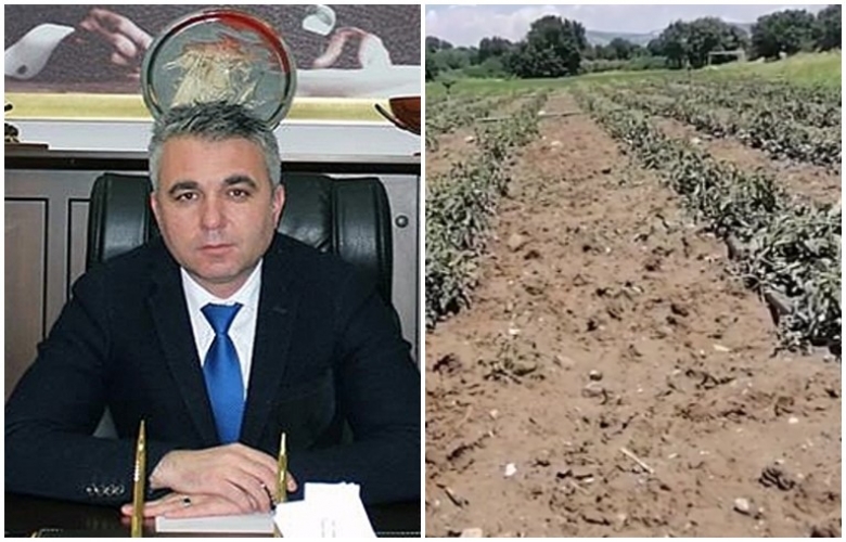 TARLALARI ŞİDDETLİ YAĞMUR VE DOLU VURDU, ZARAR ÇOK BÜYÜK